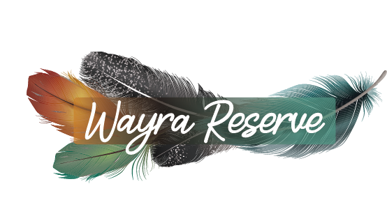 Wayra Reserve
